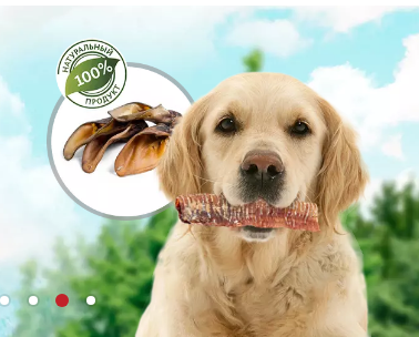 Кейс: как сервис 1С-ЭДО помог упростить работу c документами в интернет-магазине товаров для животных?